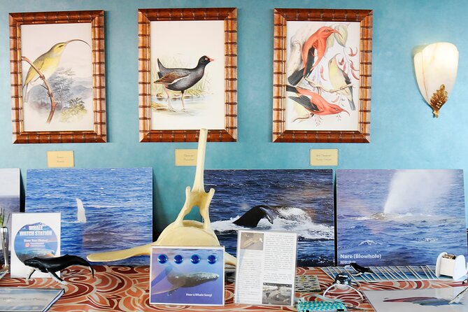 Early Bird Whale Watching Cruise From Waikiki - COVID-19 Precautions