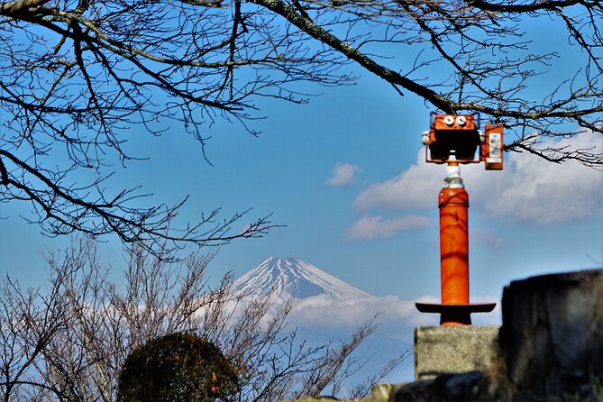 Early Blooming Cherry Blossoms & Fruit Picking 1DAY Tour - Shinkansen Transportation