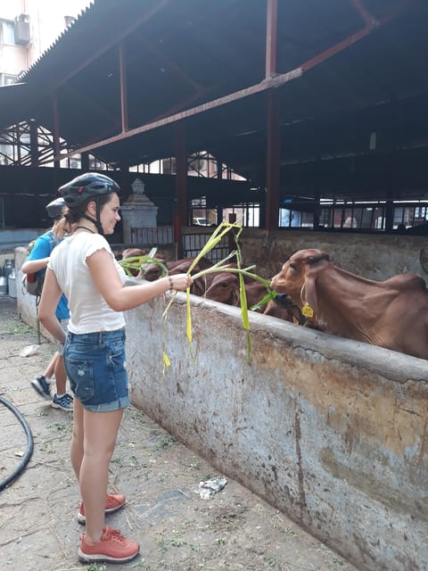 Early Moring Bicycle Tour With Delicious Breakfast - Booking and Important Information