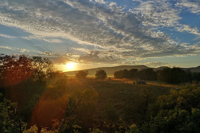 Early Morning Balloon Safari With Breakfast From Magaliesburg - Additional Information