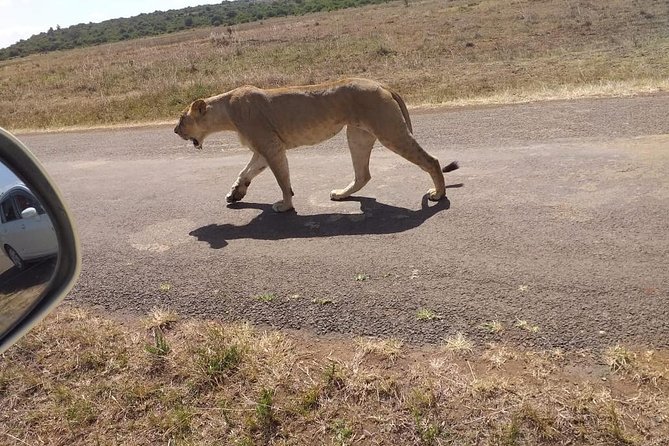 Early Morning Group Joining Mini Safari To Nairobi National Park - Pickup Locations