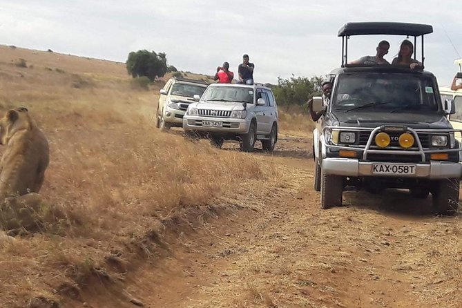 Early Morning Group Joining Mini Safari To Nairobi National Park - Booking Process