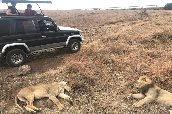 Early Morning Group Joining Mini Safari To Nairobi National Park - Booking Your Stay