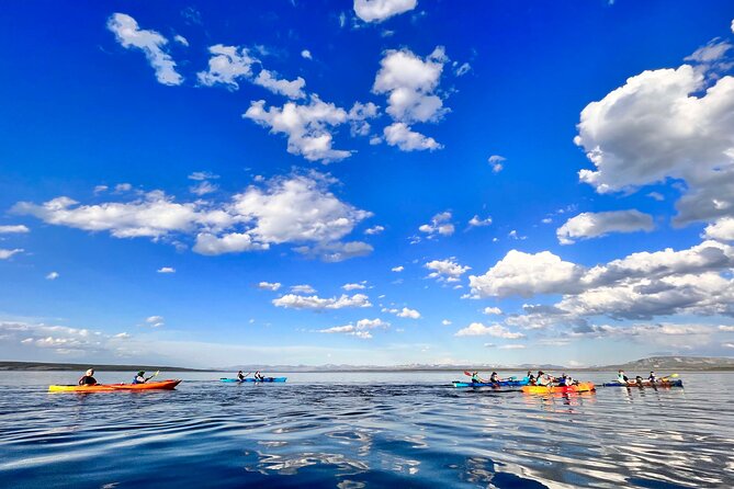 Early Morning Guided Kayak Tour - Meeting Point and Directions