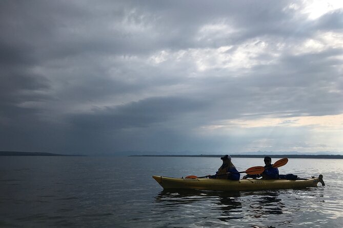 Early Morning Guided Kayak Tour - Pricing and Cancellation