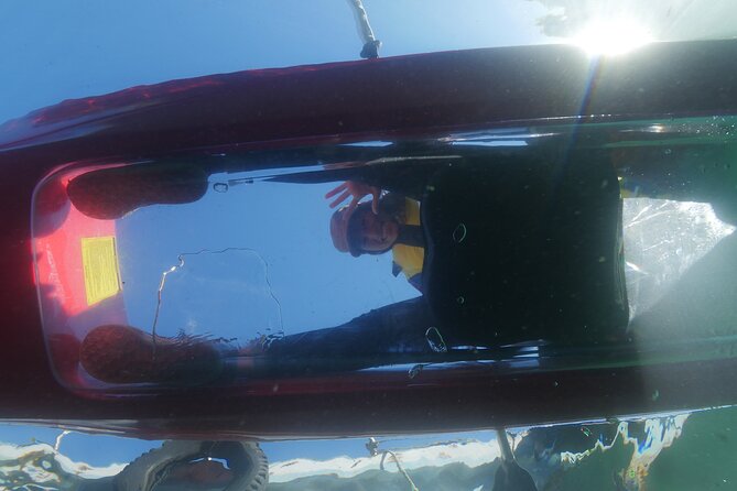 Early Morning Premium Private Clear-Bottom Kayak Tour - Health and Safety Information