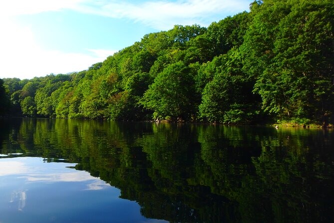 Early Morning Premium Private Clear-Bottom Kayak Tour - Unforgettable Memories