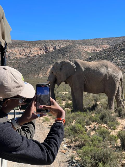 Early Morning Safari Big Five Experience Near Cape Town, SA - Transportation and Pickup