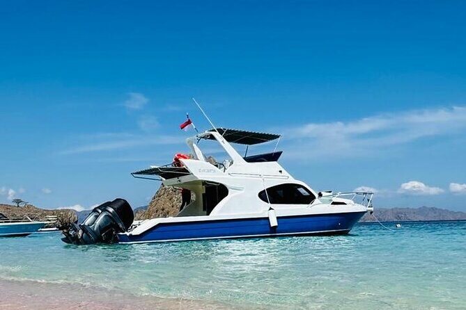 Early Morning Small-Group Komodo Speedboat Tour - Key Points