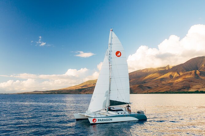 Early Sail With the Whales From Maalaea Harbor - Why Early Sail With Whales?