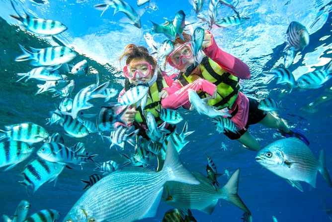 Easily Set Sail by Boat! / Blue Cave Snorkel - Safety Considerations