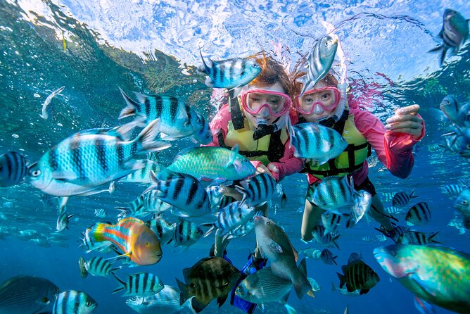 Easily Set Sail by Boat! / Blue Cave Snorkel - Snorkeling With Tropical Fish