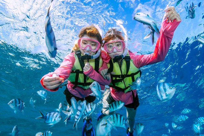 Easily Set Sail by Boat! / Blue Cave Snorkel - Memorable Moments