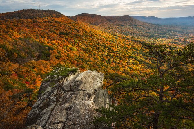 East Alabama Family Fun Multi-Attraction Pass - Visitor Tips