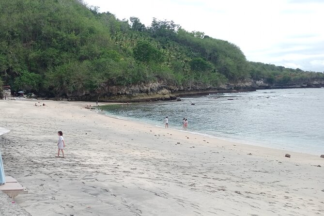 East and West Nusa Penida Best Photo Spot Private Guided Tour - Boat and Transportation