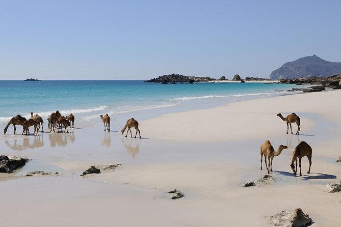 East and West Salalah Combination Private Full-day Tour - Additional Information