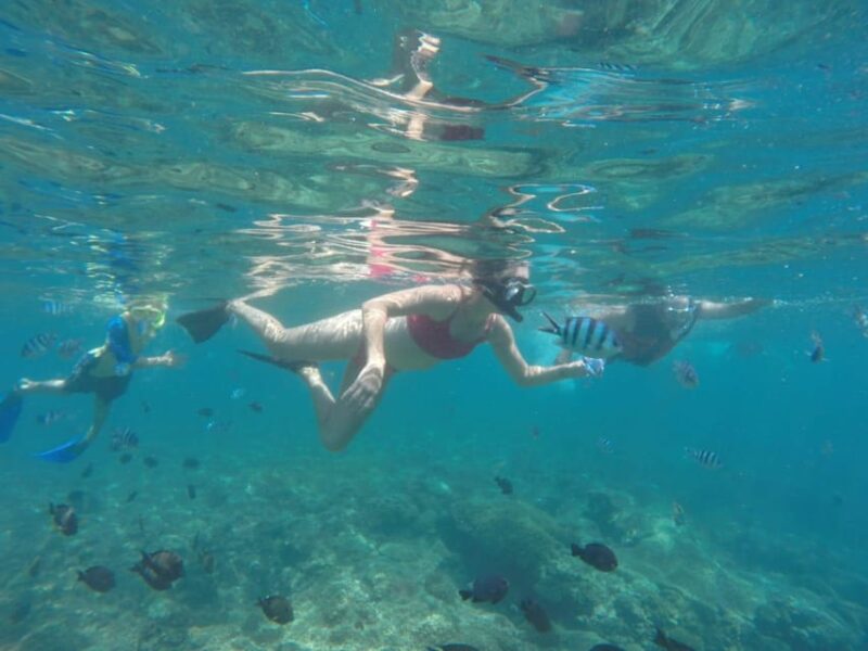 East Bali : 3 Spot Blue Lagoon Snorkeling With Turtle Point - Key Points