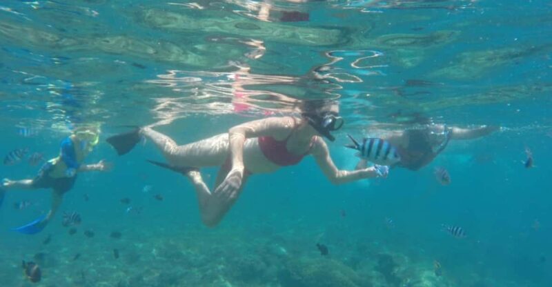 East Bali : 3 Spot Blue Lagoon Snorkeling With Turtle Point - Snorkeling Locations