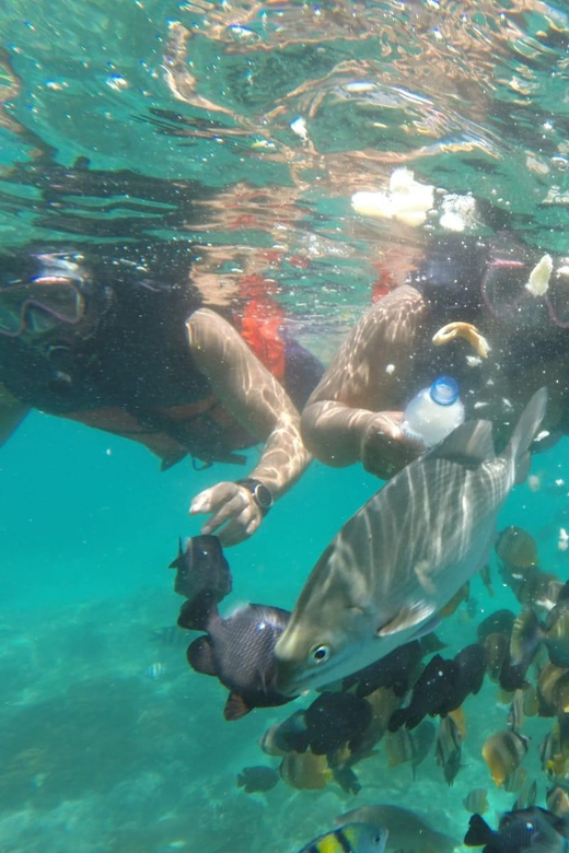 East Bali : 3 Spot Blue Lagoon Snorkeling With Turtle Point - Snorkeling Duration