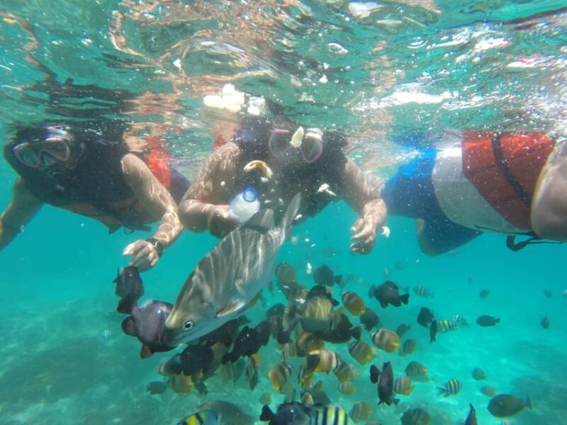 East Bali : 3 Spot Blue Lagoon Snorkeling With Turtle Point - Snorkeling Equipment