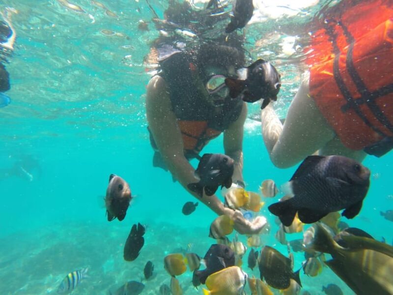 East Bali : 3 Spot Blue Lagoon Snorkeling With Turtle Point - Post-Snorkeling Activities