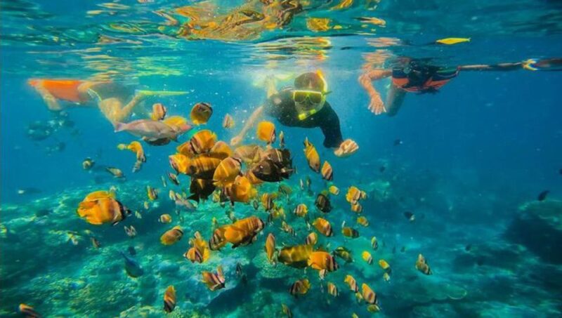 East Bali : Blue Lagoon Snorkeling - All Inclusive - Inclusions