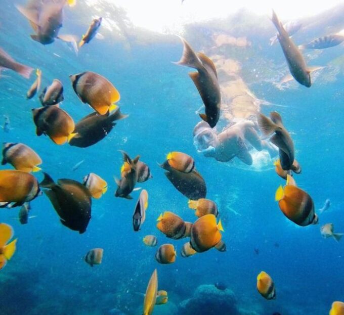 East Bali : Blue Lagoon Snorkeling - All Inclusive - Snorkeling Experience