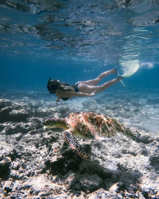 East Bali : Blue Lagoon Snorkeling - All Inclusive - Lunch and Refreshments