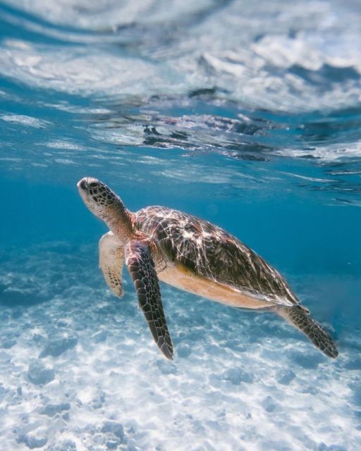East Bali : Blue Lagoon Snorkeling - All Inclusive - Frequently Asked Questions