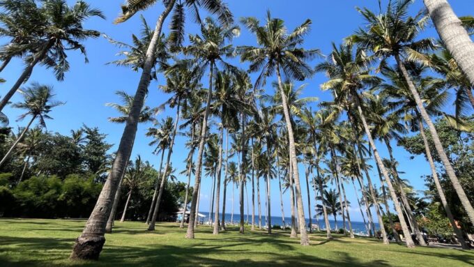 East Bali: Gembleng Waterfall, Tenganan and Virgin Beach - Tour Duration and Schedule