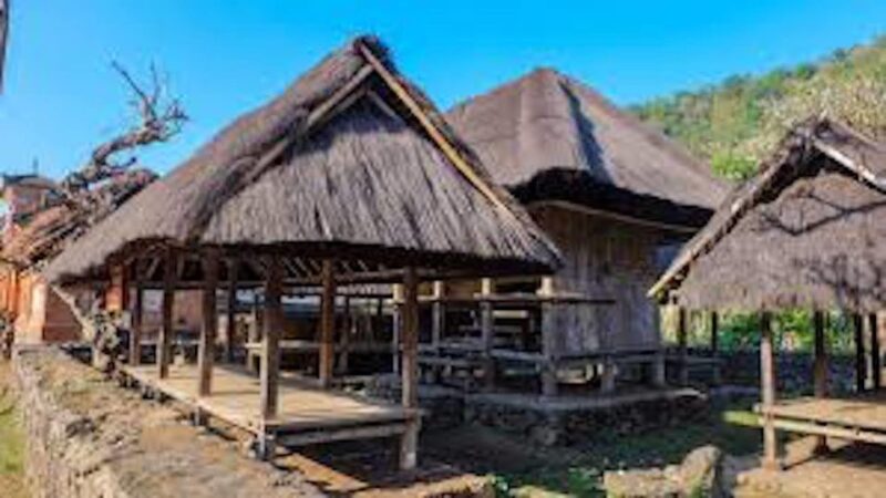 East Bali: Lempuyang Gates, Tenganan, & Water Palaces Tour - Key Points