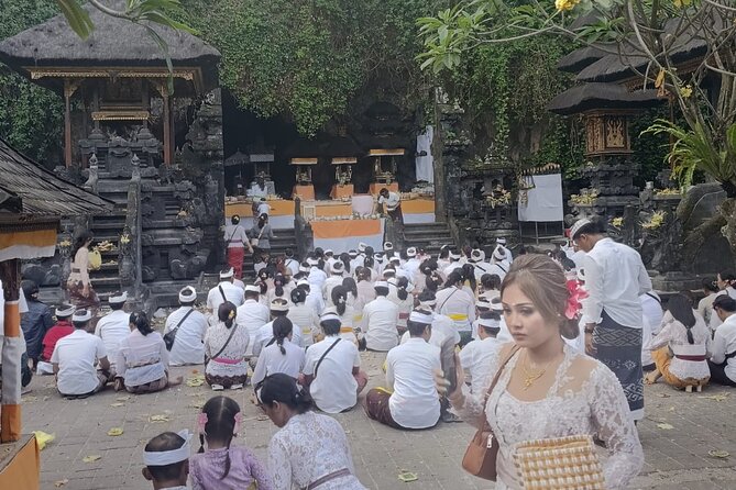 East Bali Lempuyang Tirta Gangga Water Palace Private Guided Tour - Inclusions and Transportation