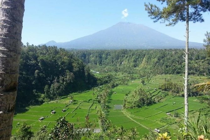 East Bali Lempuyang Tirta Gangga Water Palace Private Guided Tour - Traveler Feedback and Tips