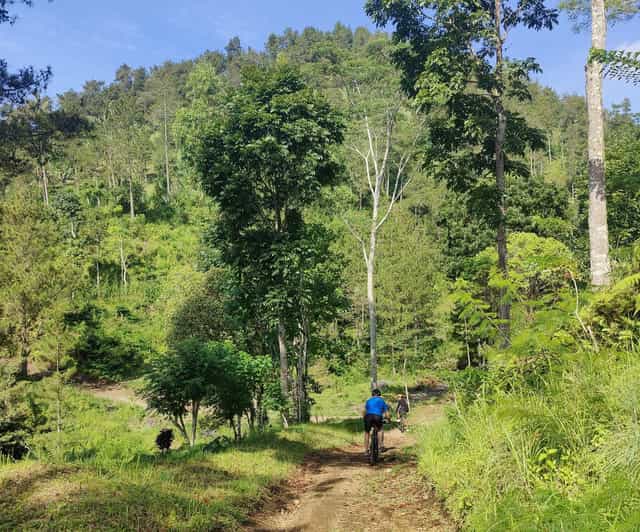 East Bali : MTB Cycling Tour - Off The Beaten Track! - Pricing and Cancellation