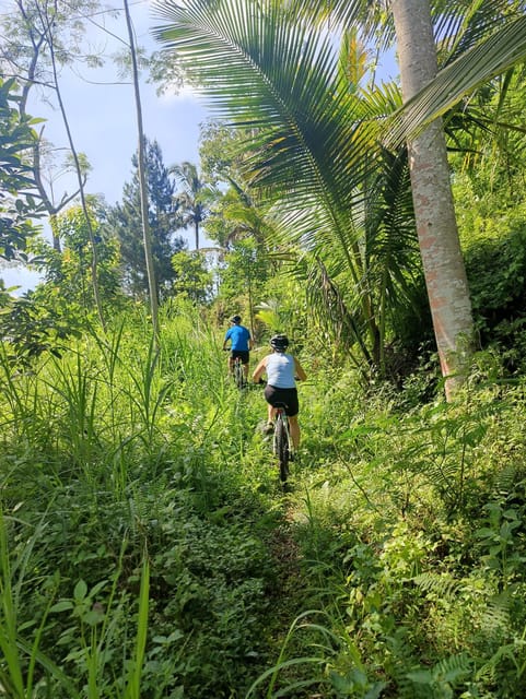 East Bali : MTB Cycling Tour - Off The Beaten Track! - Scenic Views and Highlights