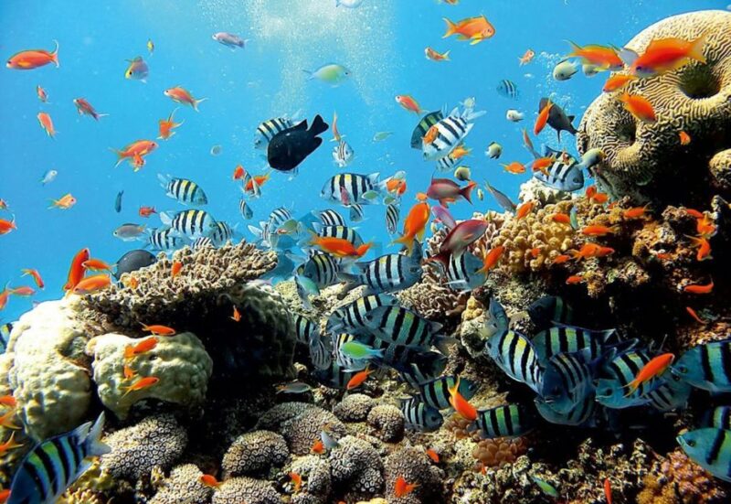 East Bali: Snorkeling, Canyoning, and Waterfall Day Trip - Key Points