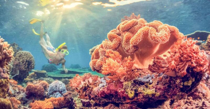 East Bali: Snorkeling Day Trip to Amed - Snorkeling Adventure