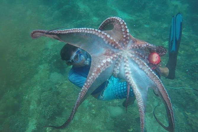 East Bali Spear Or Line Fishing Tour At Virgin Beach - Key Points