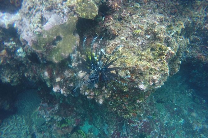 East Bali Spear Or Line Fishing Tour At Virgin Beach - Inclusions