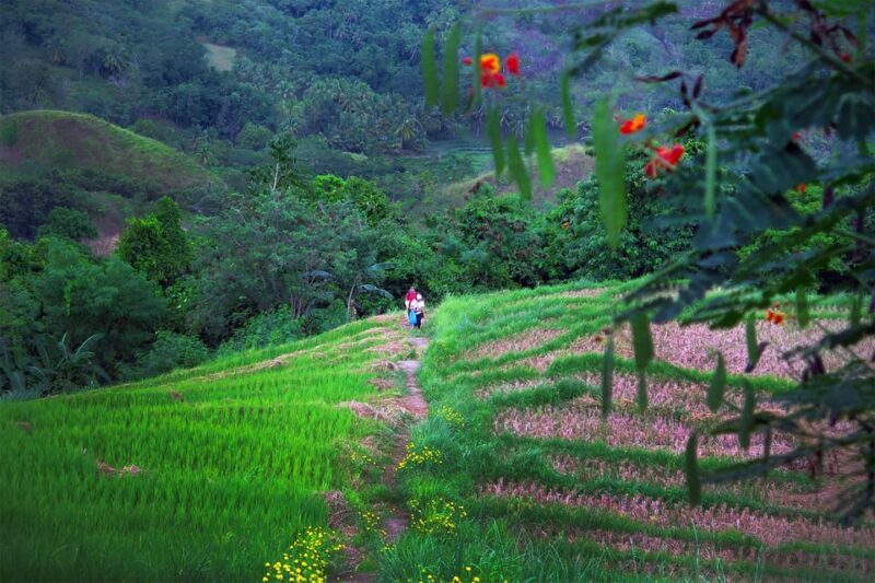 East Bohol: Anda, Rice Terraces, Waterfalls, Lamanok Island - Cultural and Culinary Experiences