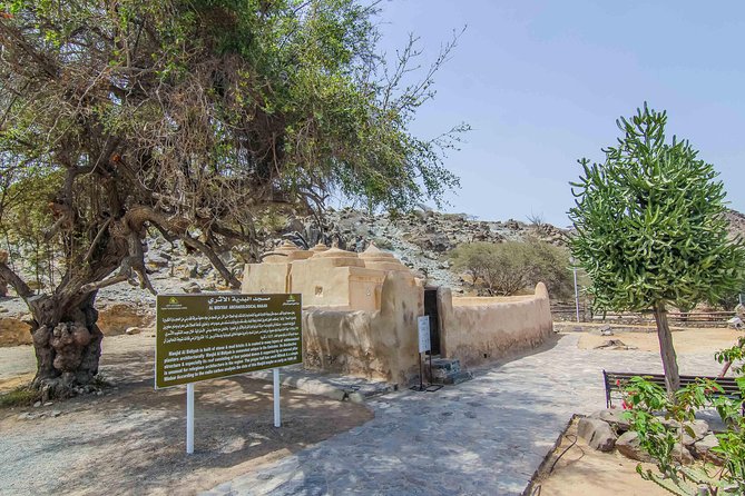 East Coast Dibba & Fujairah Day Trip With Lunch From Dubai - Masafi Friday Market Experience