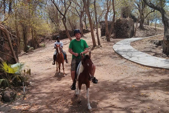 East Coast Horseback Riding & Waterfall Excursion - Highlights
