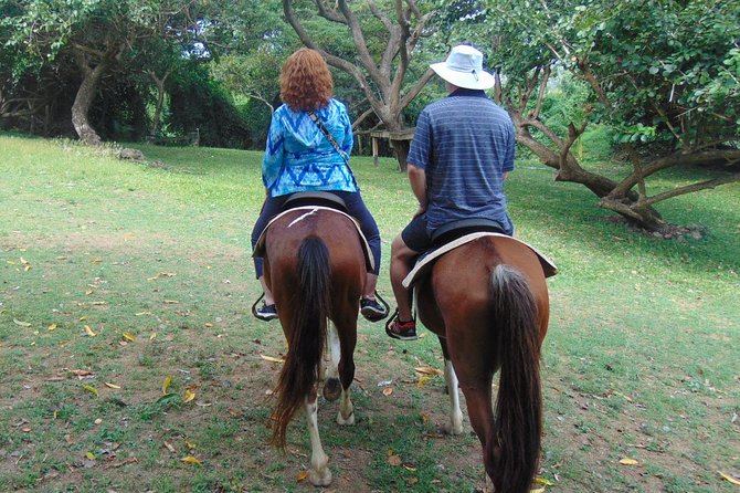 East Coast Horseback Riding & Waterfall Excursion - Accessibility and Safety