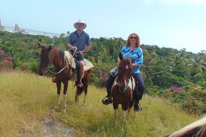 East Coast Horseback Riding & Waterfall Excursion - Guest Experiences and Reviews