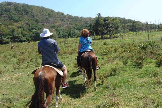East Coast Horseback Riding & Waterfall Excursion - Pricing and Booking