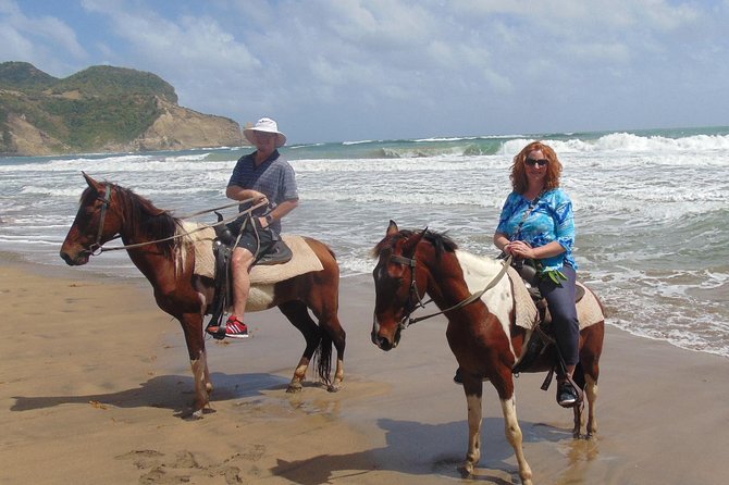East Coast Horseback Riding & Waterfall Excursion - Scenic Horseback Ride