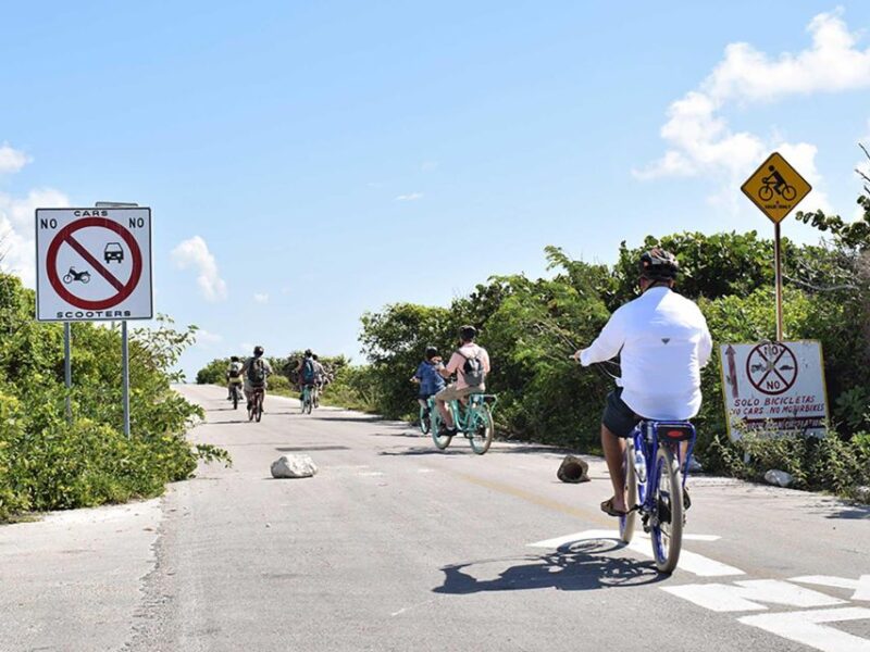 East Coast Ride in Cozumel and Lunch - Highlights and Scenic Views