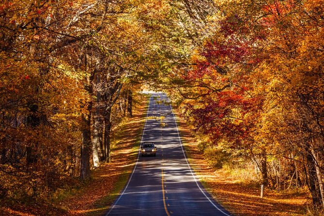 East Coast USA: Self-Guided Driving & Walking Tour Bundle - Flexibility and Convenience