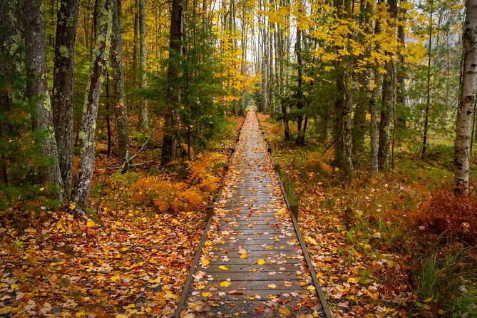 East Coast USA: Self-Guided Driving & Walking Tour Bundle - Exploring East Coast Highlights