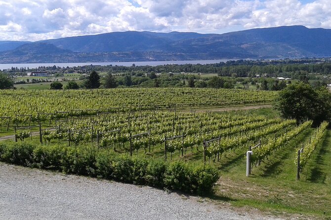 East Kelowna Wine Tour From Vernon - Classic - 4 Wineries - Flexible Pickup and Drop-off Options